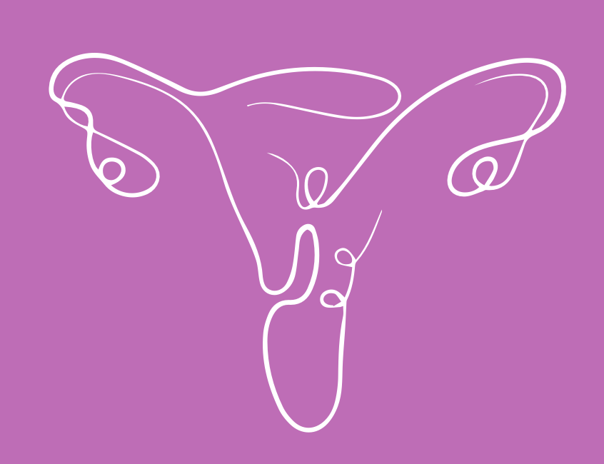 Íntima Care — logo